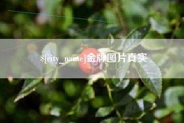 来宾金牌图片真实