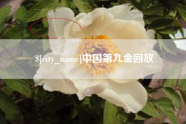来宾中国第九金回放