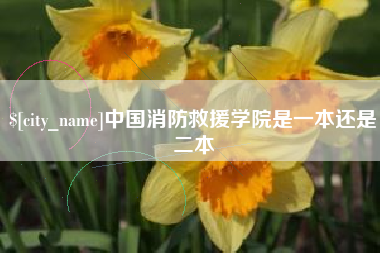来宾中国消防救援学院是一本还是二本