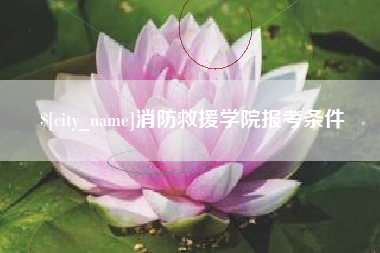 来宾消防救援学院报考条件