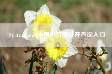 来宾中国执行网公开查询入口
