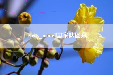来宾国家队图案