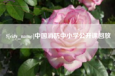 来宾中国消防中小学公开课回放