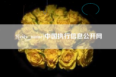 来宾中国执行信息公开网