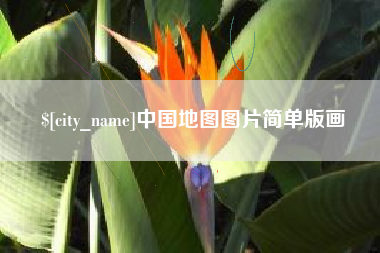 来宾中国地图图片简单版画