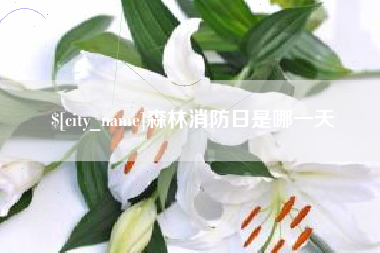 来宾森林消防日是哪一天