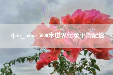 来宾5000米世界纪录平均配速