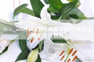 来宾中国消防救援学院2020年在山东招生计划表