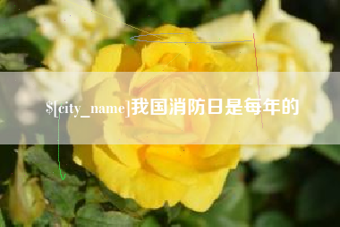 来宾我国消防日是每年的