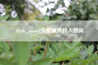 来宾失信被执行人杳询