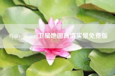 来宾卫星地图高清实景免费版