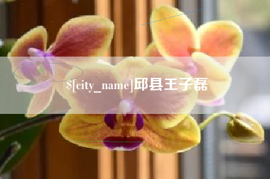 来宾邱县王子磊