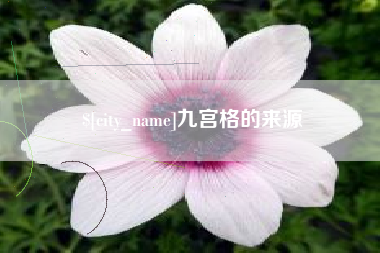 来宾九宫格的来源