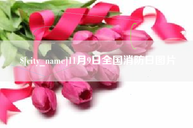 来宾11月9日全国消防日图片