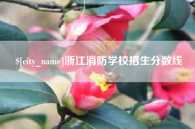 来宾浙江消防学校招生分数线