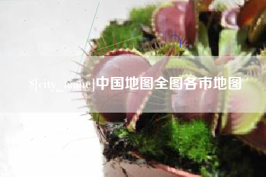 来宾中国地图全图各市地图