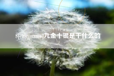 来宾九金十银是干什么的