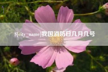 来宾我国消防日几月几号