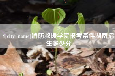 来宾消防救援学院报考条件湖南招生多少分