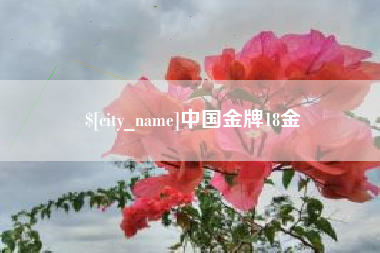 来宾中国金牌18金