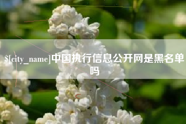 来宾中国执行信息公开网是黑名单吗