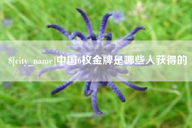 来宾中国6枚金牌是哪些人获得的