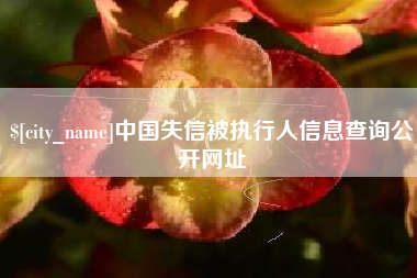 来宾中国失信被执行人信息查询公开网址