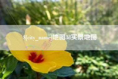 来宾地图3d实景地图
