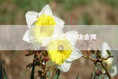 来宾奥运会39块金牌
