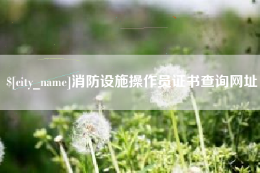 来宾消防设施操作员证书查询网址