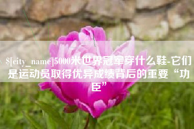 来宾5000米世界冠军穿什么鞋-它们是运动员取得优异成绩背后的重要“功臣”