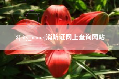 来宾消防证网上查询网站