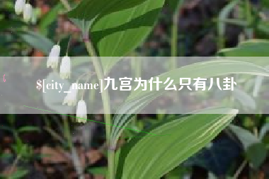 来宾九宫为什么只有八卦