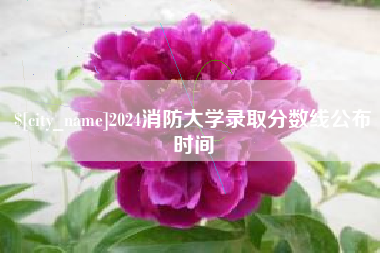 来宾2024消防大学录取分数线公布时间