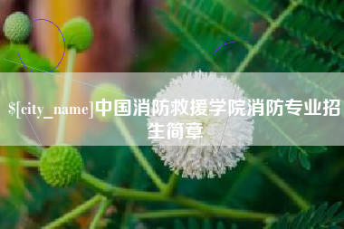 来宾中国消防救援学院消防专业招生简章