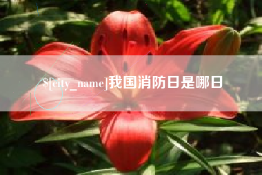 来宾我国消防日是哪日