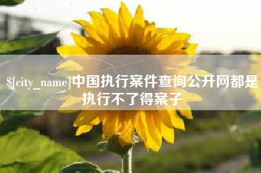 来宾中国执行案件查询公开网都是执行不了得案子