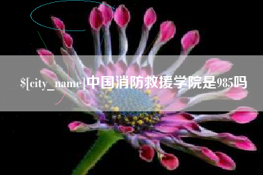 来宾中国消防救援学院是985吗