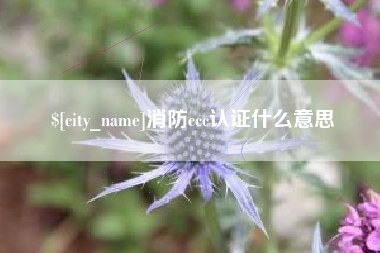 来宾消防ccc认证什么意思