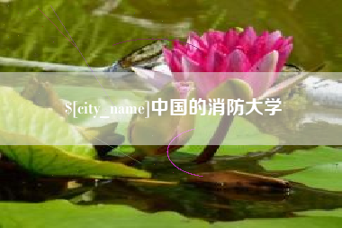 来宾中国的消防大学
