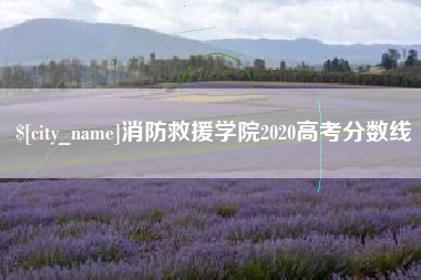 来宾消防救援学院2020高考分数线