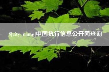 来宾中国执行信息公开网查询