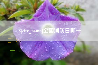 来宾全国消防日哪一