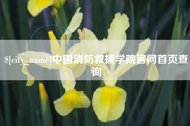 来宾中国消防救援学院官网首页查询