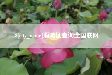 来宾消防证查询全国联网