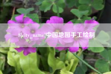 来宾中国地图手工绘制