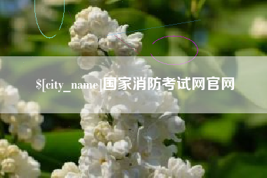 来宾国家消防考试网官网