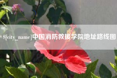 来宾中国消防救援学院地址路线图