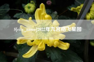 来宾2022年九宫格飞星图