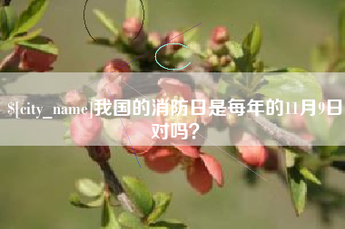 来宾我国的消防日是每年的11月9日对吗？